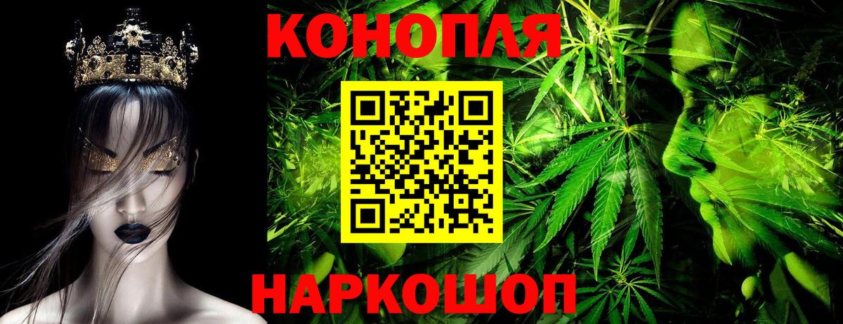 Бошки Шишки планчик Иваново